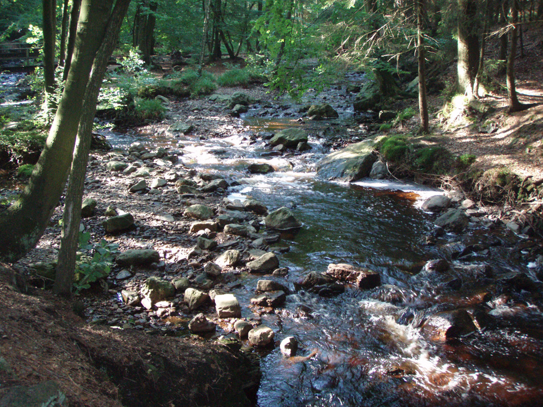 Promenade de la Hoegne