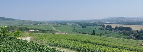 La Route du Champagne
