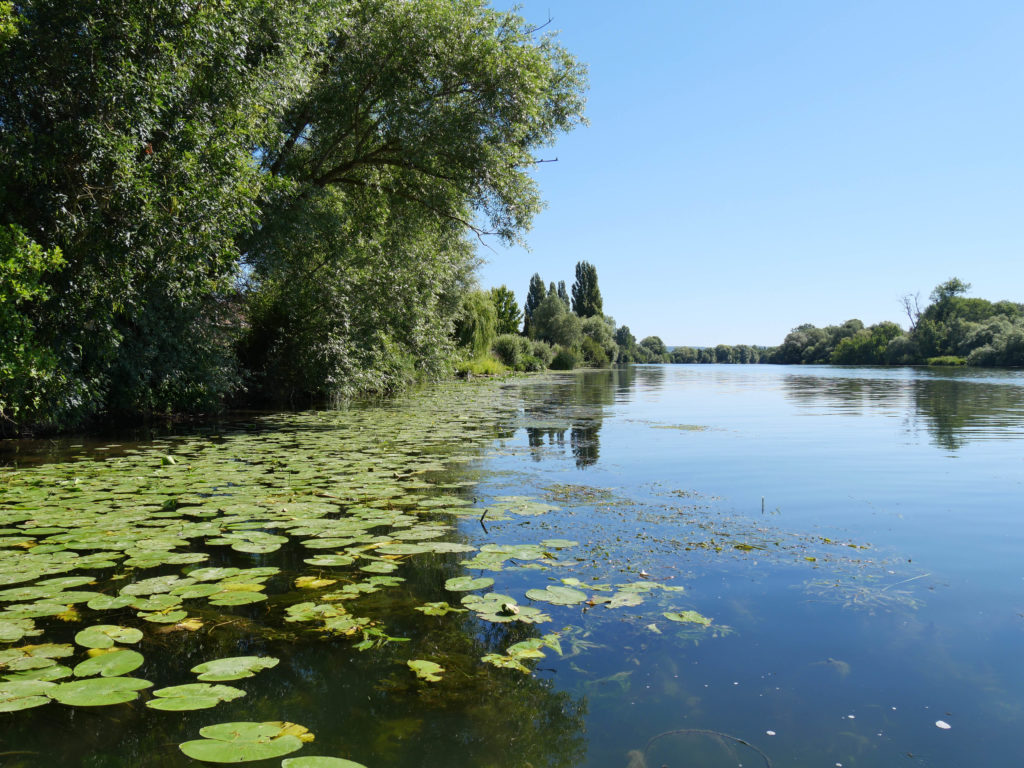Petit coin en bord de Seine