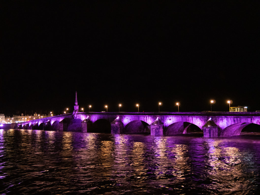 Blois de nuit