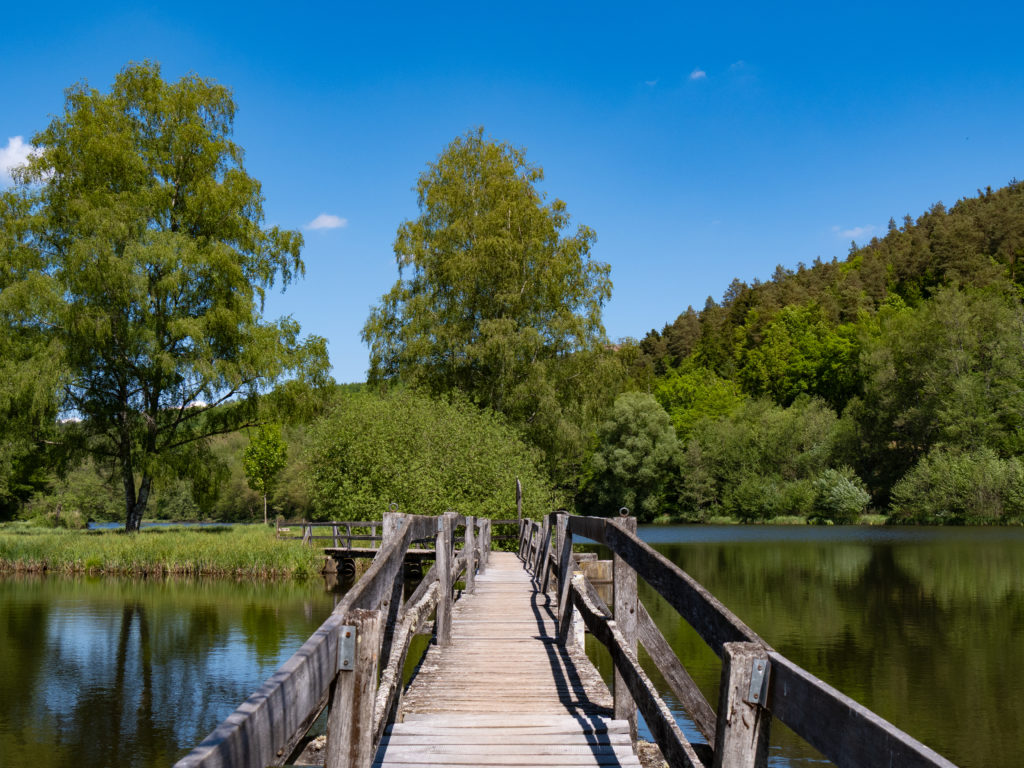 Pont sur le Fleckensteiner Weiher