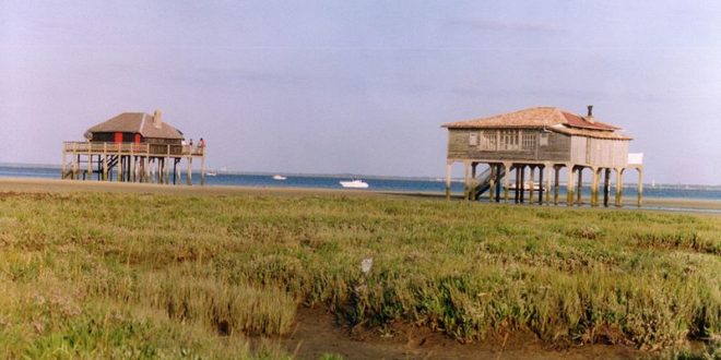 Bassin d'Arcachon