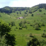 Balade en Forêt-Noire