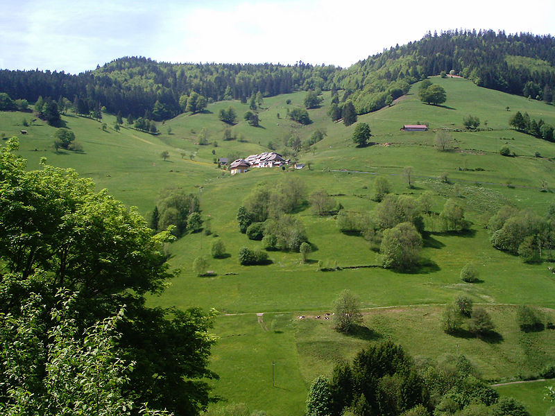 Balade en Forêt-Noire