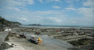 Parcs à huîtres à Cancale