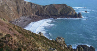 Nez de Jobourg au Cap de la Hague