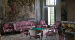 Salont du Château de Talcy