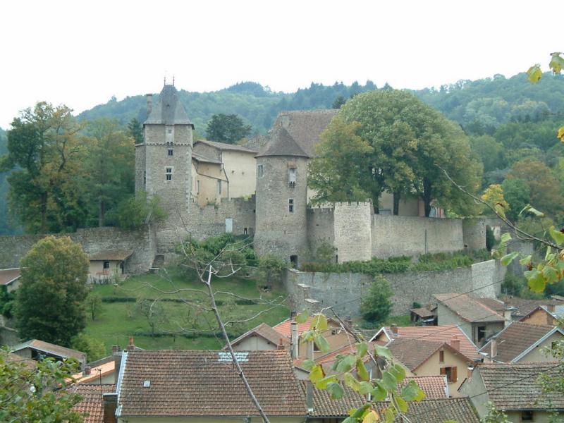 Château de Châteldon