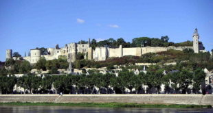 Château de Chinon