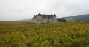 Clos de Vougeot