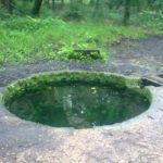 Font de Viljot dans la forêt de Tronçais