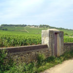 Vignoble de Givry