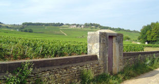 Vignoble de Givry