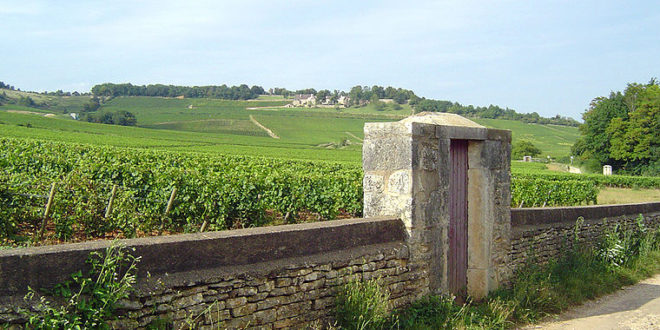 Vignoble de Givry