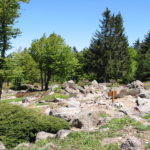 Jardin du Haut-Chitelet