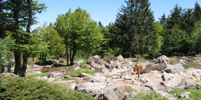 Jardin du Haut-Chitelet