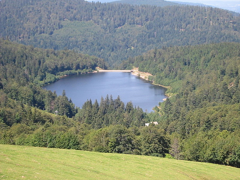 Le Lac de la Lande dans les Vosges