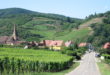 La route des vins d'Alsace