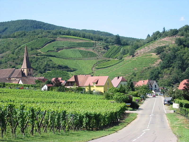 La route des vins d'Alsace