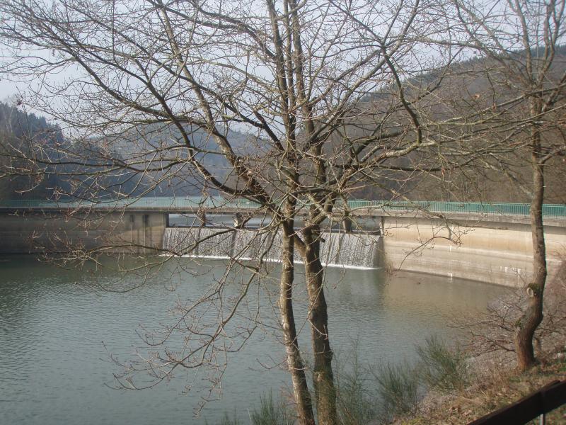 Lac de la Haute-Sûre