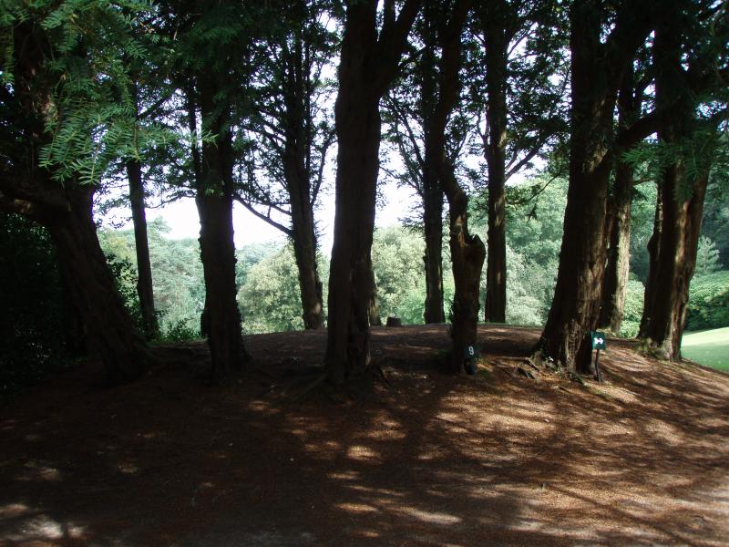 Le cercle des Fées aux Bois des Moustiers