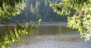 Mummelsee