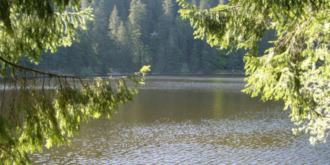 Mummelsee