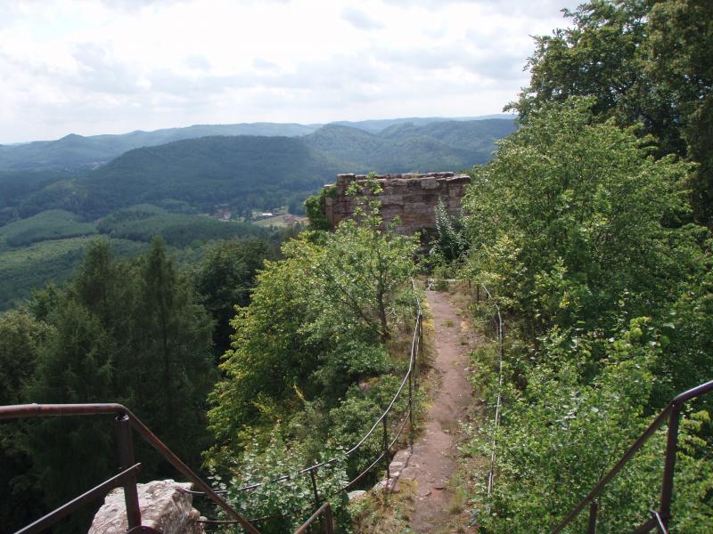 Parc Naturel des Vosges du Nord