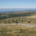 Les Monts du Forez