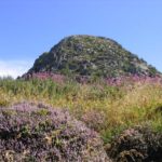 Le Mont Gerbier-de-Jonc