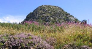 Le Mont Gerbier-de-Jonc