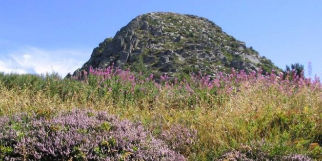 Le Mont Gerbier-de-Jonc