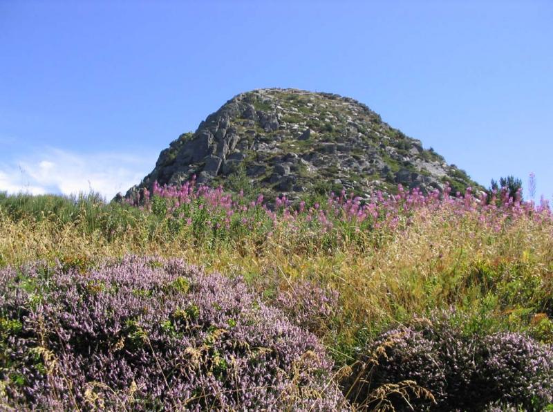 Le Mont Gerbier-de-Jonc
