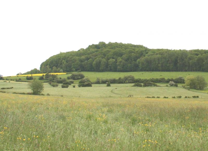 Mont Saint-Jean près de Dudelange