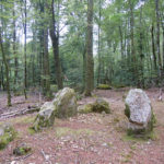 Dolmen de Toulfoën dans la forêt de Forêt de Carnoët