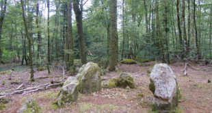 Dolmen de Toulfoën dans la forêt de Forêt de Carnoët