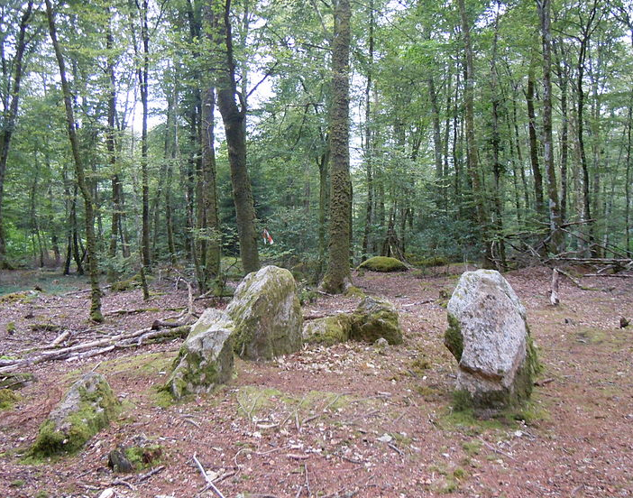 Dolmen de Toulfoën dans la forêt de Forêt de Carnoët