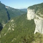 Forêt du Vercors
