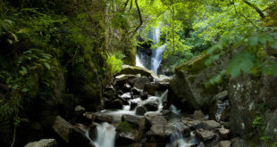 Gorges d'Enval