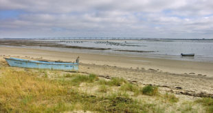 Plage sur l'Ile d'Oléron