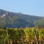 Châteaux de Kintzheim