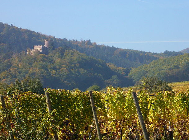 Châteaux de Kintzheim