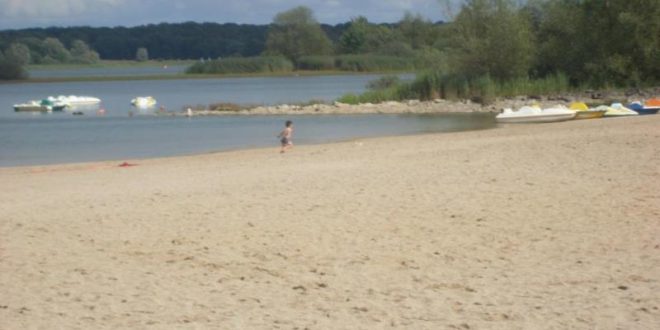 Plage du Lac du Der