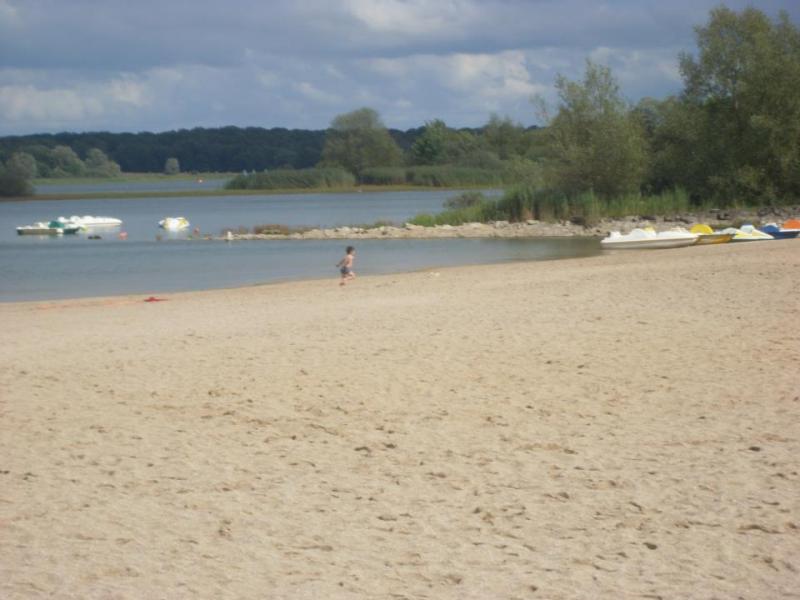 Plage du Lac du Der