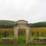 Les Grands Crus de Bourgogne