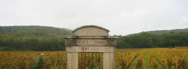 Les Grands Crus de Bourgogne