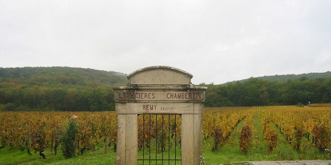 Les Grands Crus de Bourgogne