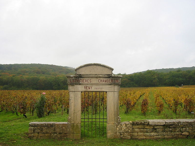 Les Grands Crus de Bourgogne