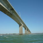 Quelques huitres sur l'Ile d'Oléron