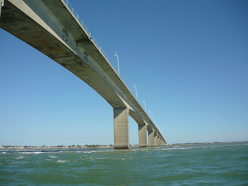Quelques huitres sur l'Ile d'Oléron